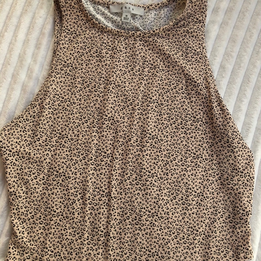 Cheetah Print Crop Top